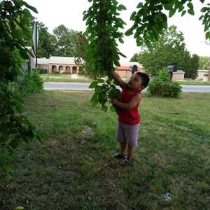 Meet your Posher, Juan j